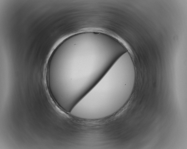 X0000115521102200911061018