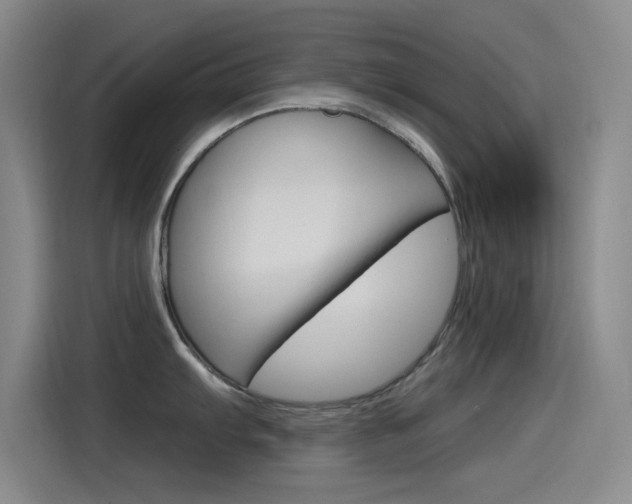 X0000115521103200911061018