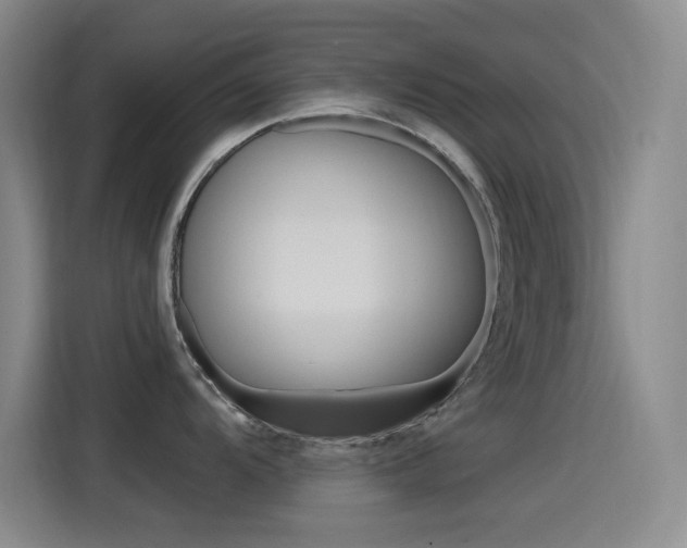 X0000115521104200911061018