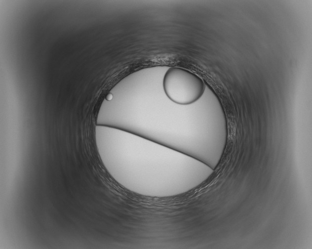 X0000115521106200911061017