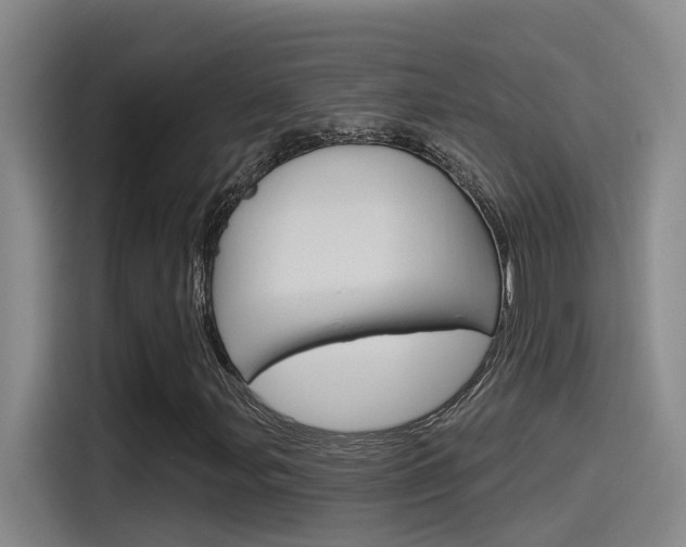 X0000115521107200911061017