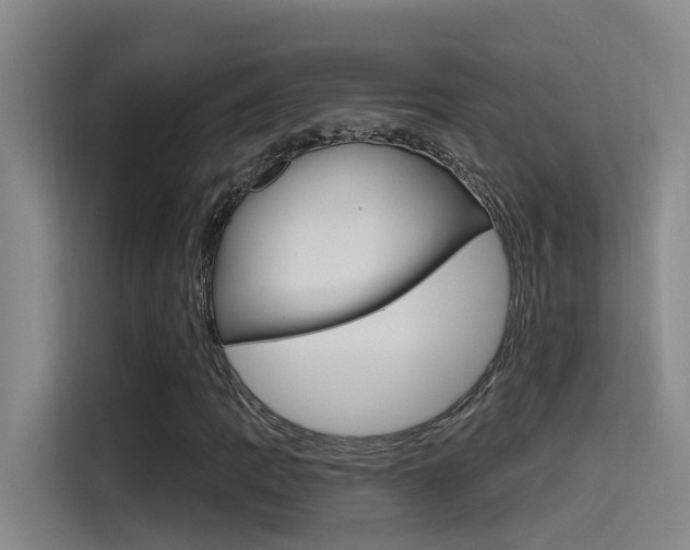 X0000115521109200911061017
