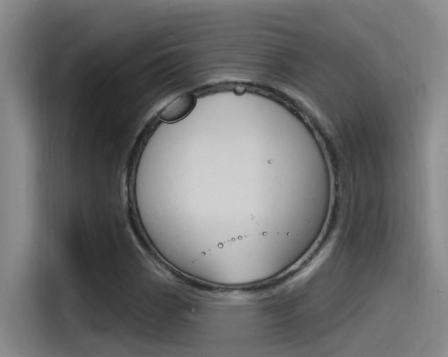 X0000115521113200911061018
