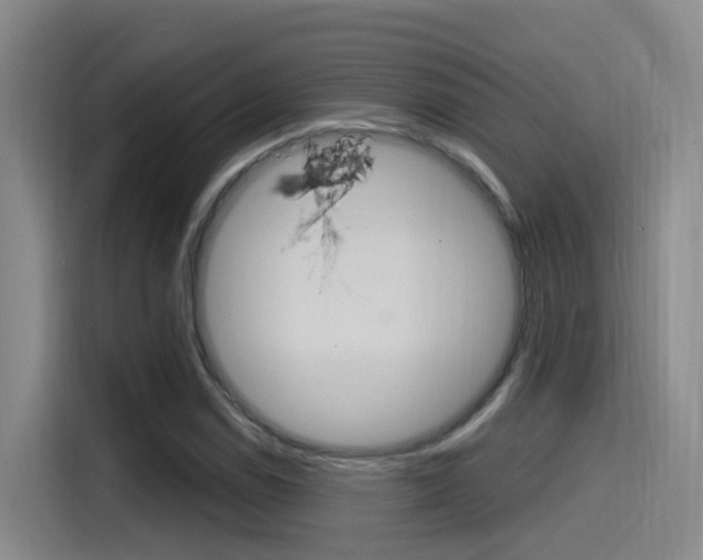 X0000115521114200911061018