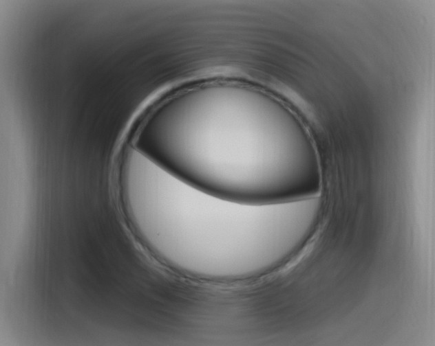 X0000115521118200911061018