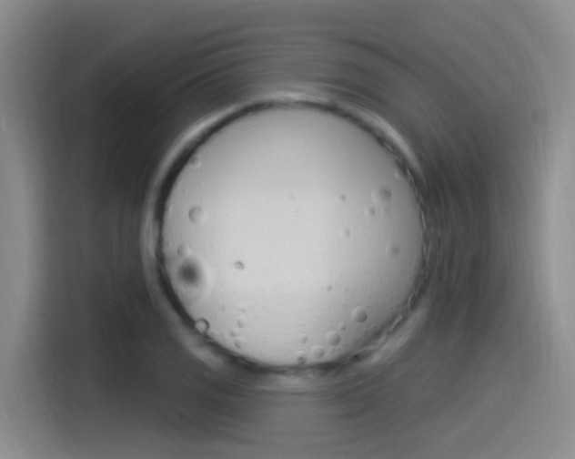 X0000115521125200911061018