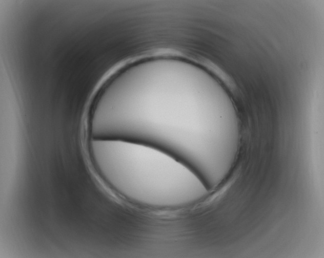 X0000115521126200911061018