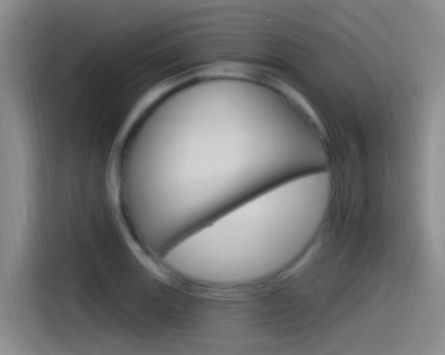 X0000115521131200911061018
