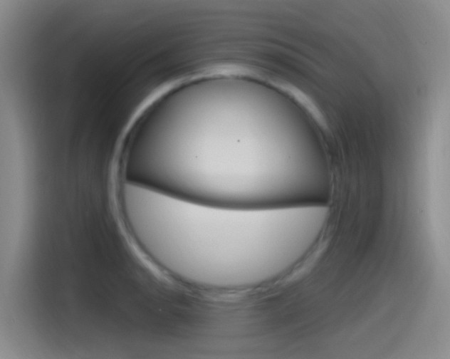X0000115521134200911061018