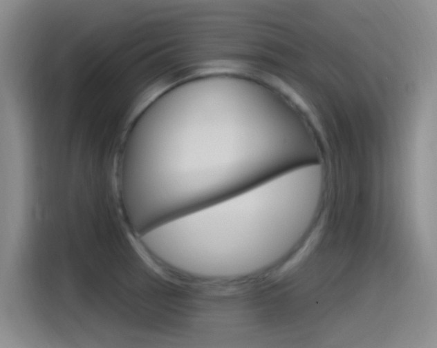 X0000115521137200911061018