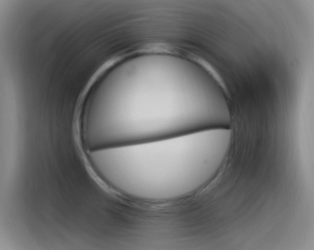 X0000115521139200911061018