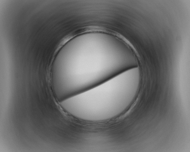 X0000115521145200911061018