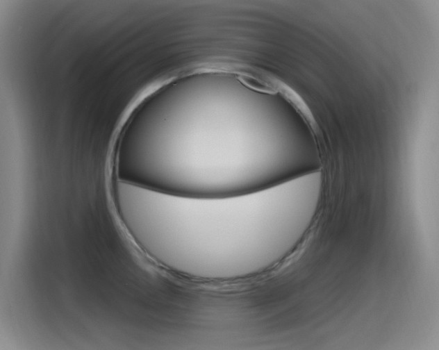 X0000115521146200911061018