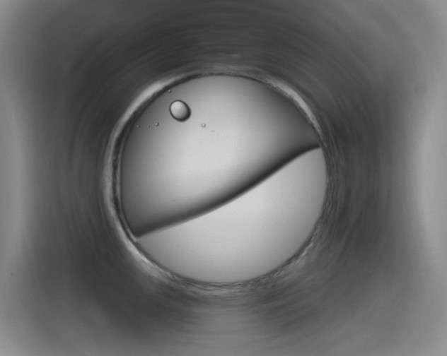 X0000115521147200911061018