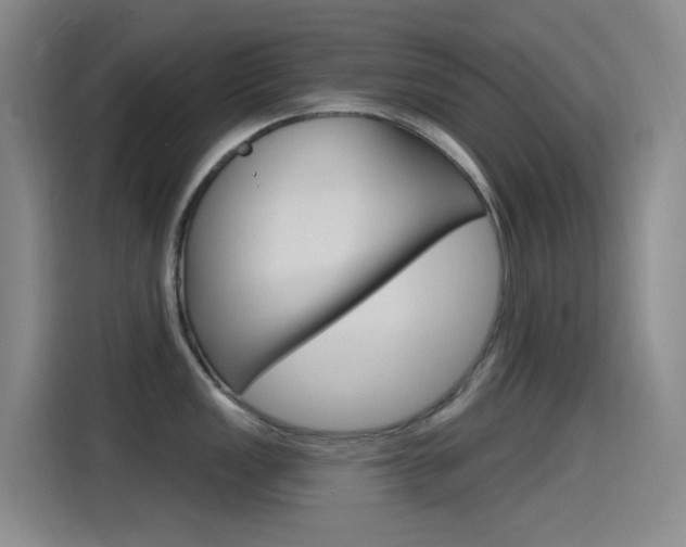 X0000115521149200911061018