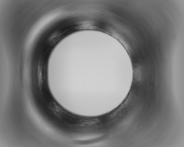 X0000115521150200911061018