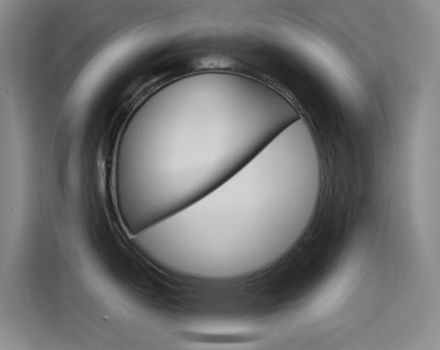 X0000115521151200911061018