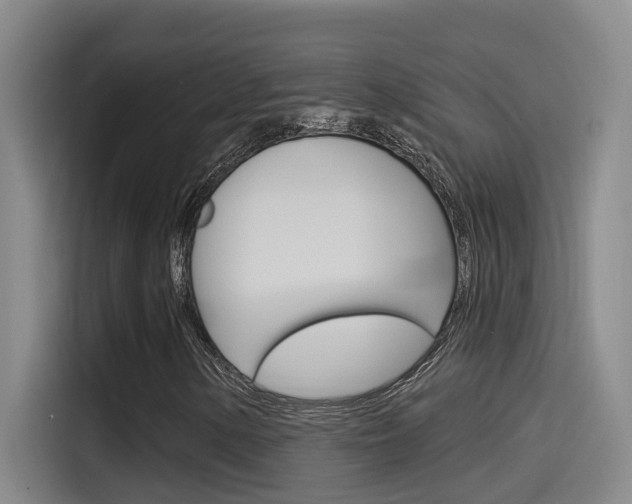 X0000115521154200911061017