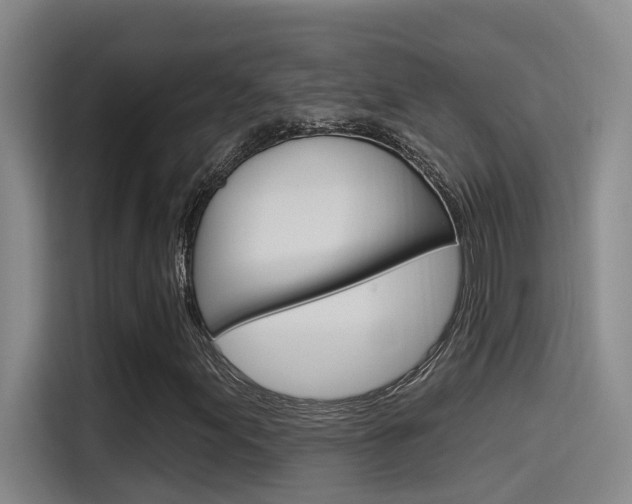 X0000115521155200911061017