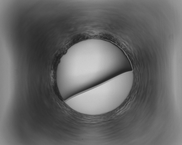X0000115521156200911061017