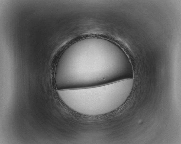 X0000115521159200911061017
