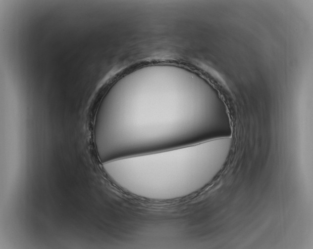 X0000115521160200911061017