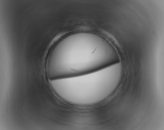 X0000115521168200911061017