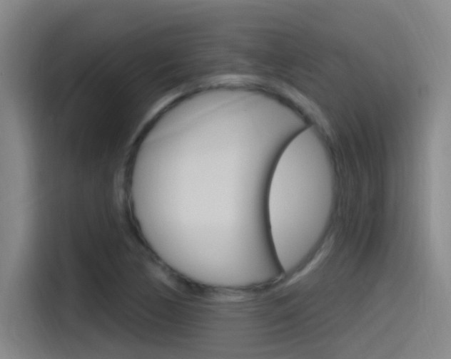 X0000115521170200911061017