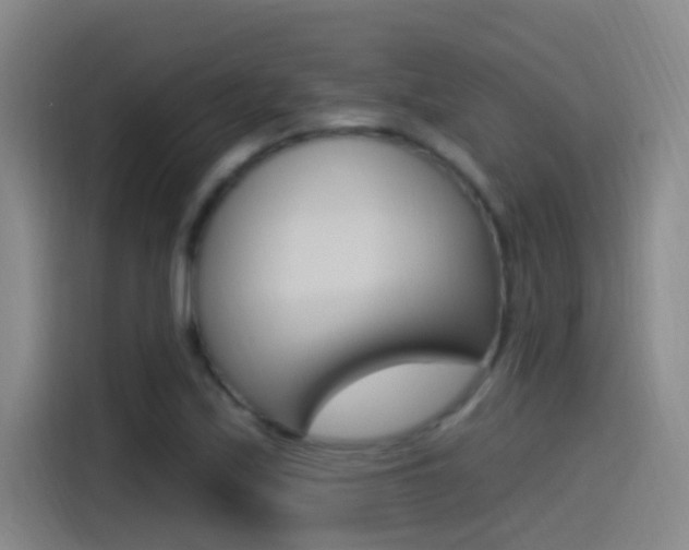X0000115521171200911061017