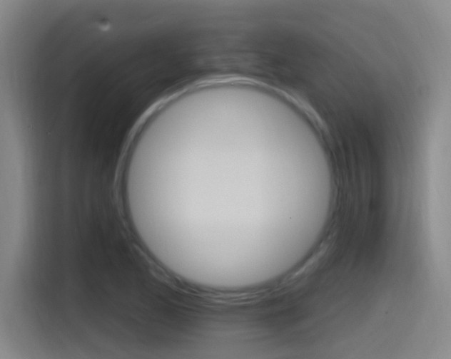 X0000115521173200911061017