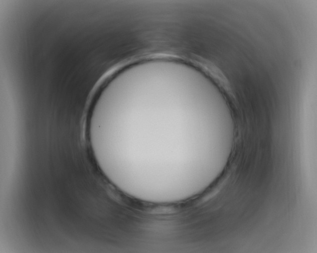 X0000115521174200911061017