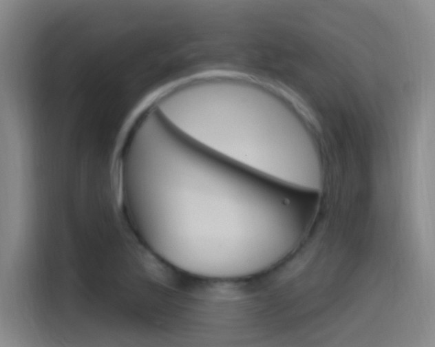 X0000115521175200911061017