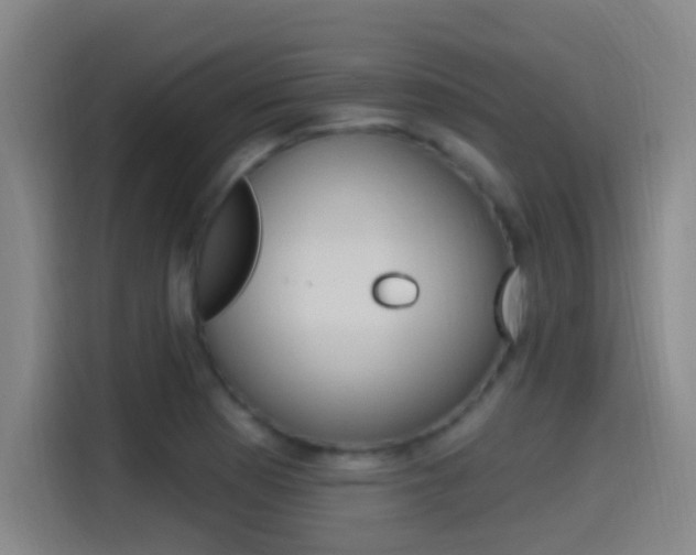 X0000115521177200911061017