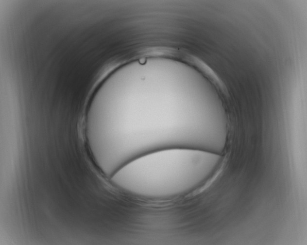 X0000115521178200911061017