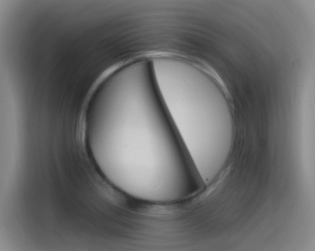 X0000115521179200911061017