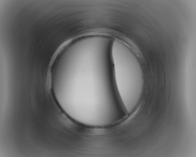 X0000115521180200911061017