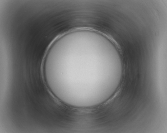 X0000115521181200911061017