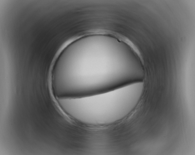 X0000115521187200911061017