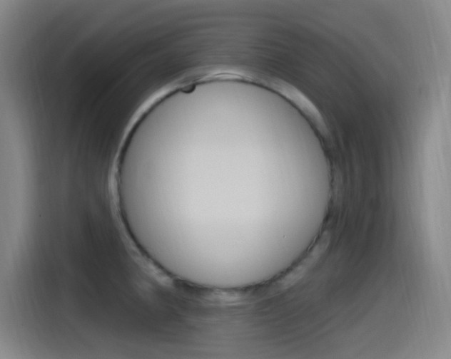 X0000115521190200911061017