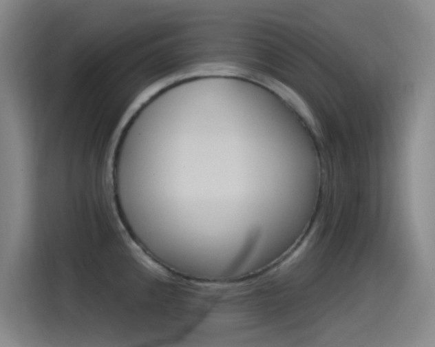 X0000115521192200911061017