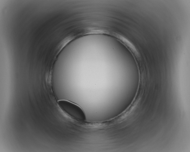 X0000115521193200911061017