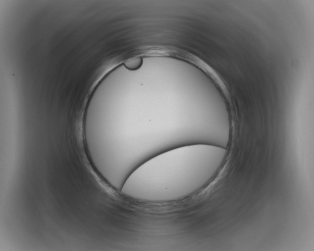 X0000115521194200911061017