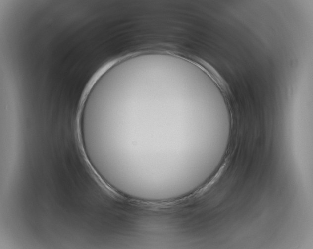 X0000115521196200911061017