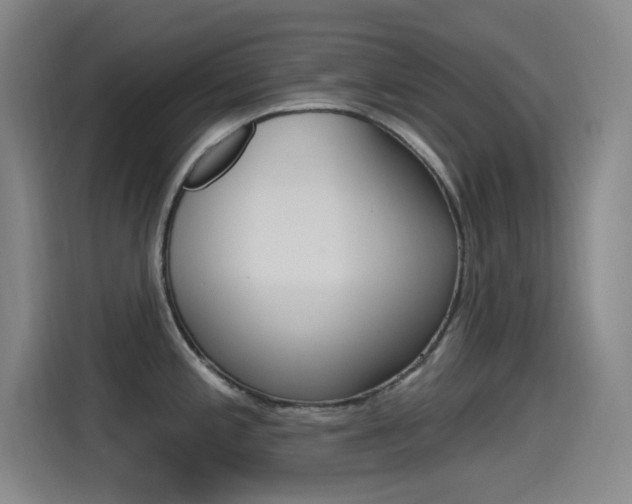 X0000115521197200911061017