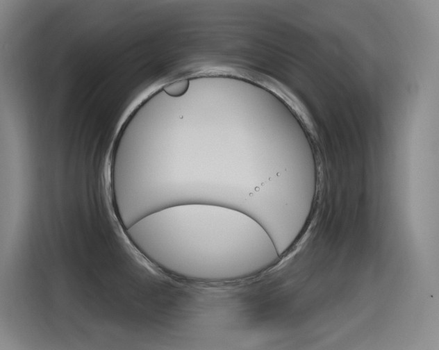 X0000115521198200911061017