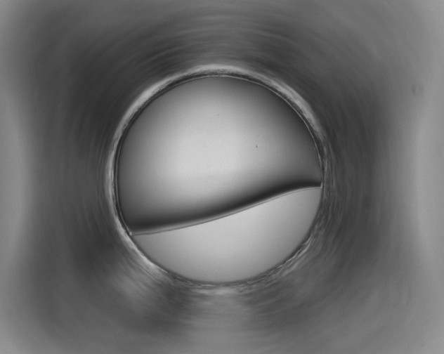 X0000115521199200911061017