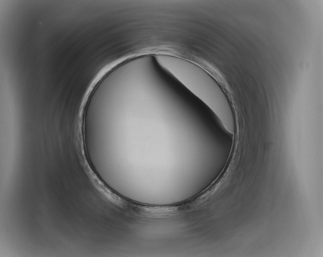 X0000115521200200911061017