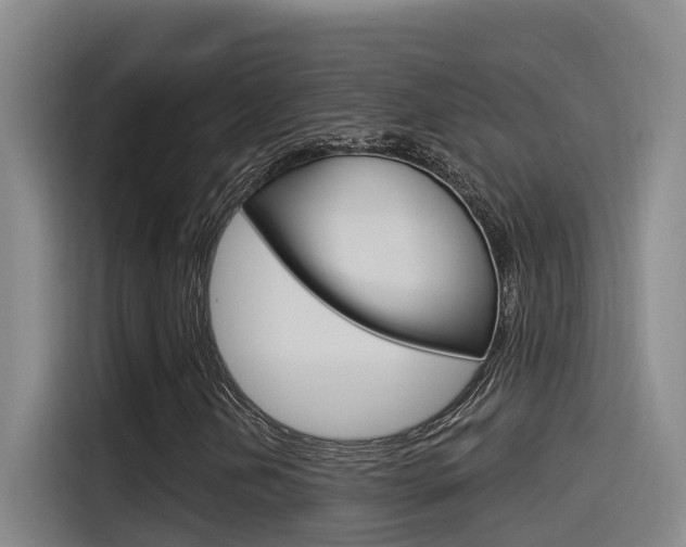 X0000115521202200911061016