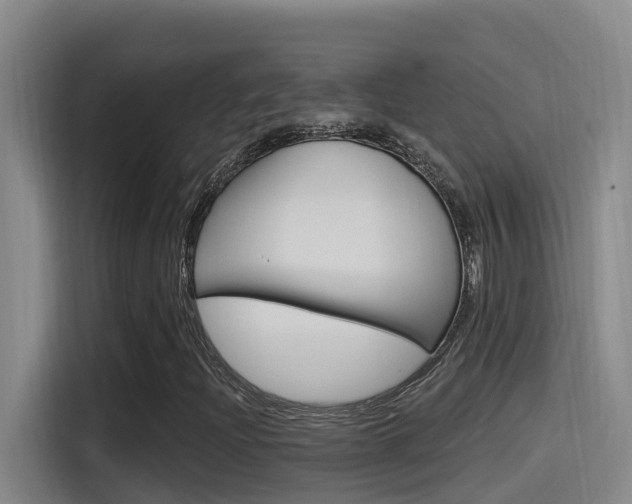 X0000115521204200911061016