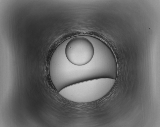 X0000115521205200911061016